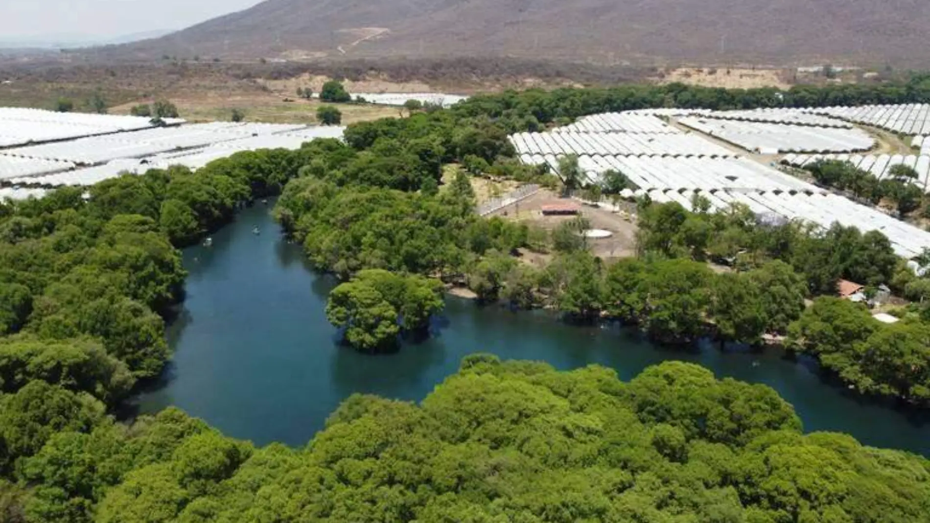 lago de camécuaro